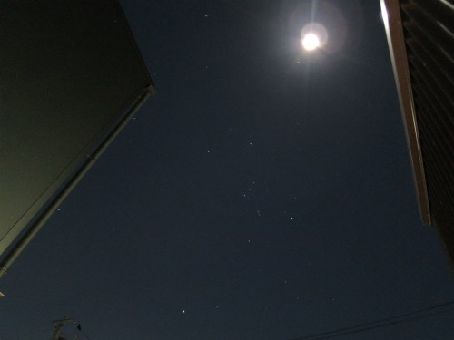 DSCN3233