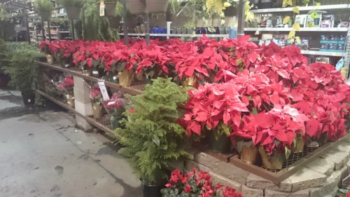 2014-12-12 17.50.57